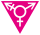 Travesti Broňa