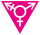 Travesti Broňa
